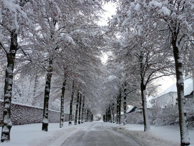 Julieanehab Hotel Fredensborg Esterno foto